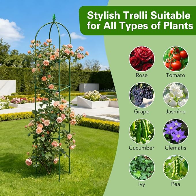 2 Pack Garden Obelisk Trellis for Climbing Plants, 72" Metal Rustproof Rose Trellis, Tower Potted Cages Plant Support for Flowers/Vegetables/Vines, Indoor Outdoor Garden Patio