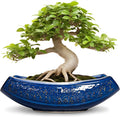 Bonsai Pots - 18 Inch Large Ceramic Succulent Pots for Indoor Outdoor, Bonsai Planter with Drainage Hole, Ceramic Flower Pot, Decorative Plant Pot, Gifts for Plant Lovers, Office Decor, Blue