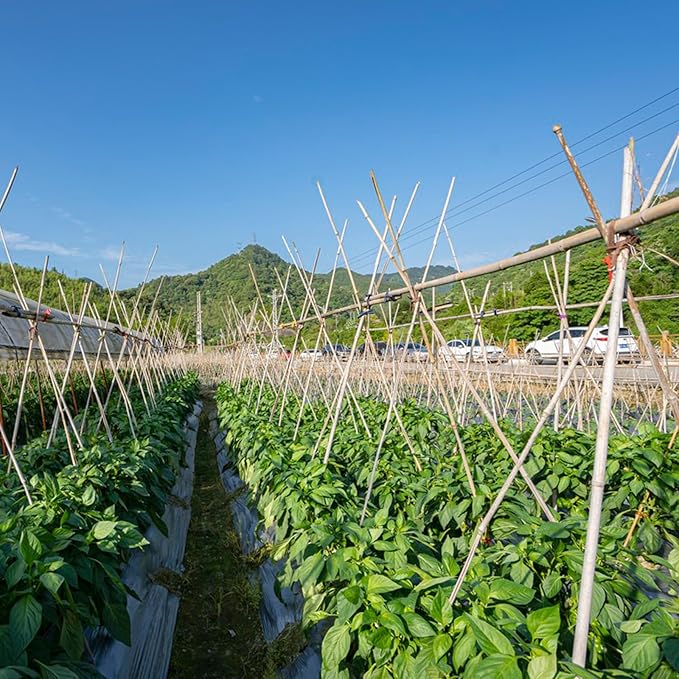 Plant Stakes, 4FT Natural Bamboo Garden Stakes, 25Pcs Bamboo Plant Stakes,Bamboo Sticks for Tomato,Beans,Vegetable and Climbing Plants
