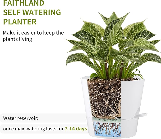FaithLand 2-Pack 8 Inch Planter Pots for Indoor Outdoor Plants, Self Watering Flower Pots with Deep Reservoir, White …