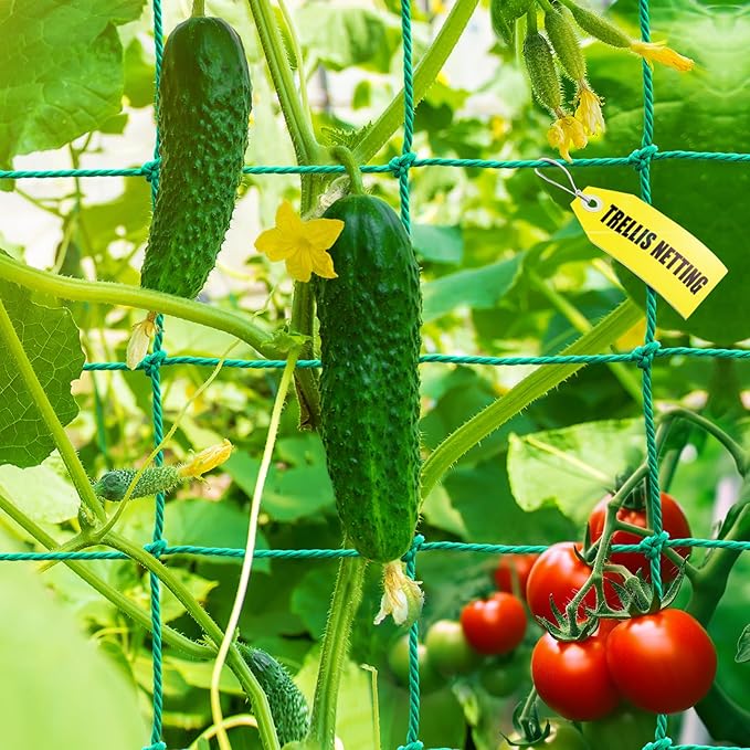 Trellis Netting, Heavy Duty Garden Trellis Netting for Climbing Plants Outdoor w/Plant Clips, 6.6x9.85 Ft Plant Netting for Cucumber, Tomato, 27 Strands & 4x4 in Mesh, Grow Net for Fruits, Vegetables