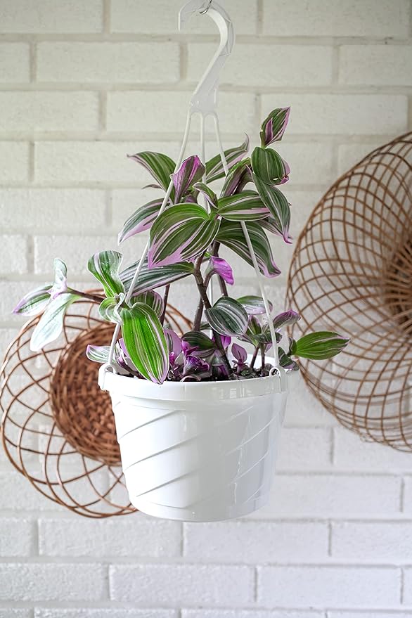 The HC Companies 12 Inch Euro Hanging Planters, Lightweight UV-Resistant Plastic Hanging Planters for Indoor & Outdoor Plants, 2-Pack Hanging Flower Pots for Garden, Patio & Home Decor, Clay
