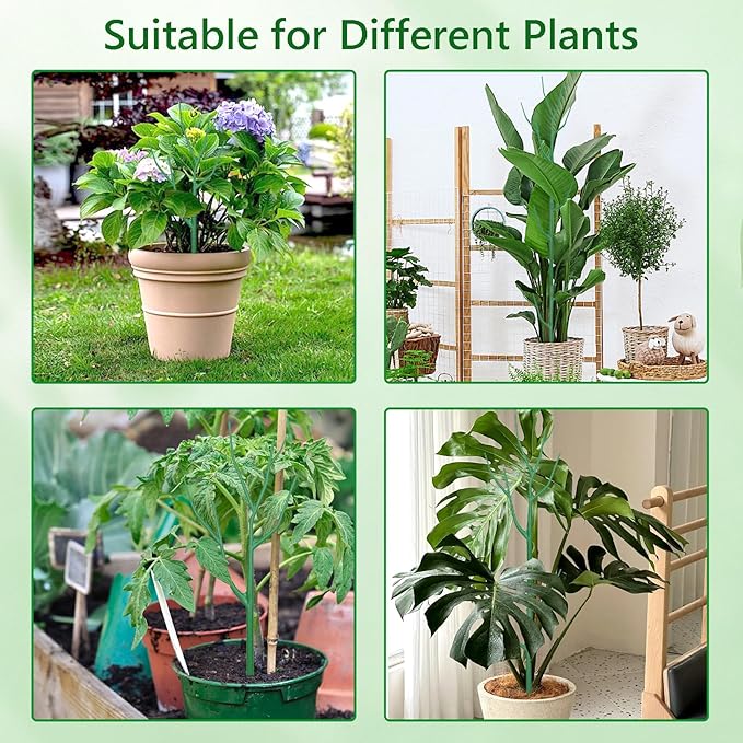 15 Pack Stackable Plant Supports Stakes, Sturdy Garden Trellis for Climbing & Vining Plants, Monstera, Pothos & Philodendron - Reusable Plant Stakes for Indoor & Outdoor Potted Plants