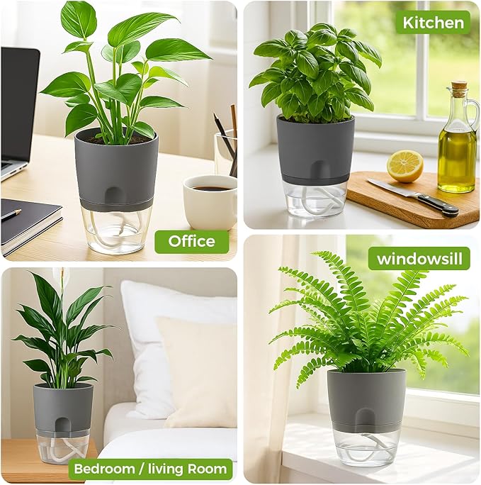 3 Pack Self Watering Pots for Indoor Plants, PlanterHoma 6 Inch Plant Pot Plastic Self Watering Planter for Orchid, African Violet, Small Clear Flower Pots with Drainage Holes and Wicking Rope, Grey