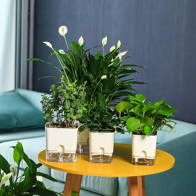Planterhoma Self Watering Plant Pots for Indoor Plants 4.3 inch, 6 Packs Square Self-Watering Planters with Drainage Hole, White African Violet Pots for Devil's Ivy, Spider Plant, Orchid, Herb