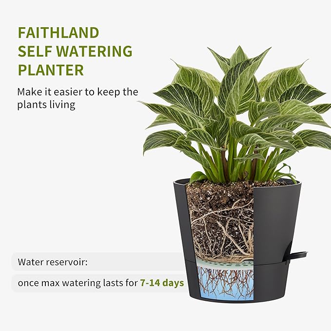 FaithLand 2-Pack 8 Inch Planter Pots for Indoor Outdoor Plants, Self Watering Flower Pots with Deep Reservoir, Black …