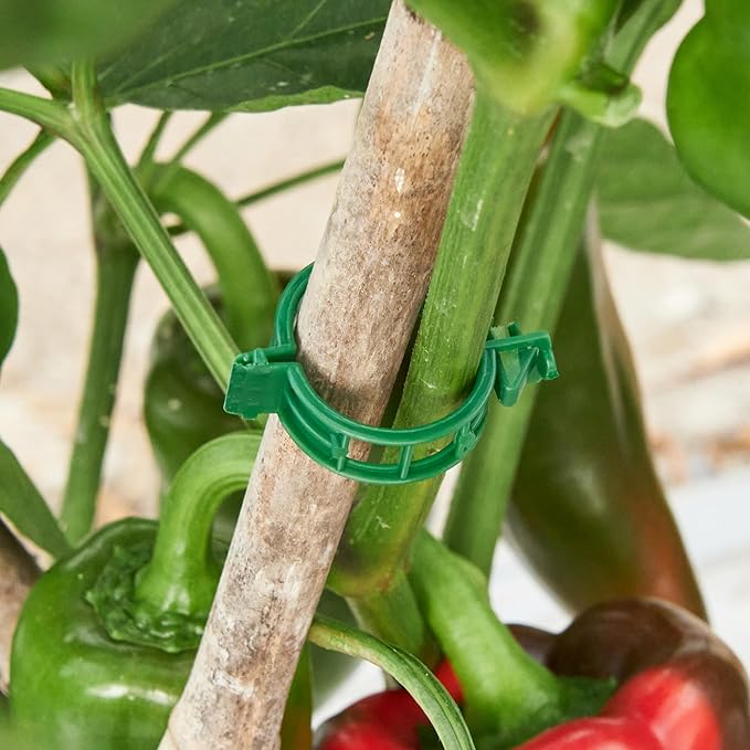 100 Pcs Plant Support Clips,Plastic Clips for Securing Plants,Tomato Vine Clips,Plant Fixing Clips,Garden Clips for Climbing Plants,Grape and Vine Vegetables (100, Green)