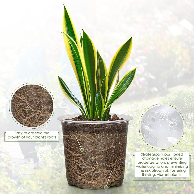 6 Inch Clear Nursery Pots for Plants with Sacuers 15 Pack, Plastic Flower Pots with Drainage Holes, Variety Pack Seedlings Garden Pot for Indoor Outdoor (6 inch)