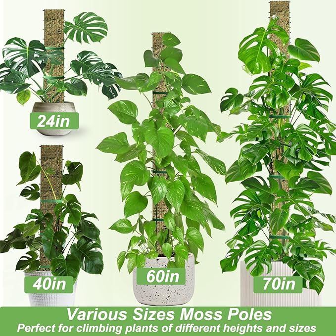 60"/40"/24" Metal Moss Pole, D Shape Sphagnum Moss Pole, Moss Poles for Climbing Plants, Monstera, Indoor Climbing Plants (3 Each of 60" 40" 24")