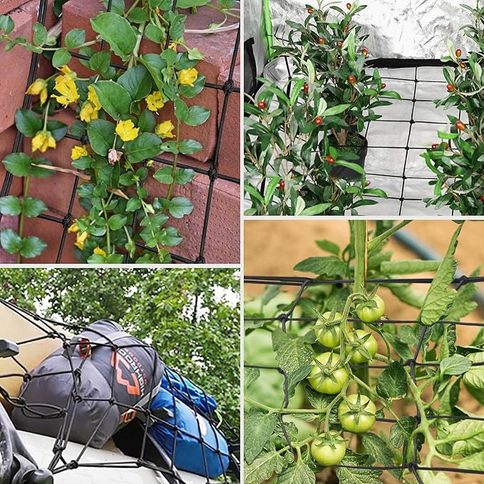 VIVOSUN 3 x 3Ft. Elastic Trellis Netting with 4 Hooks for Climbing Plants, Vegetables, Fruits, and Flowers, 1-Pack