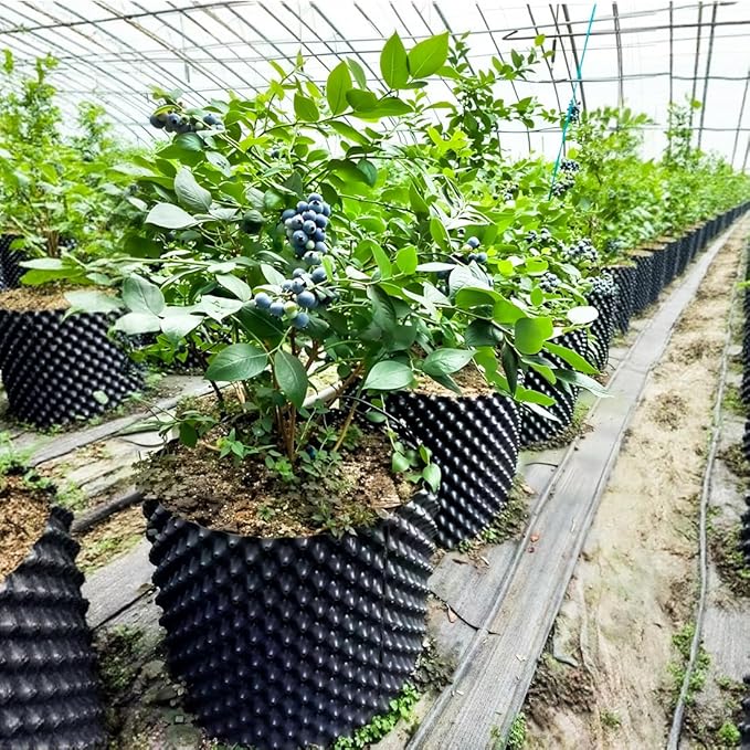 Air Pruning Containers, 14 Gallon Air Pruning Planters, Plastic Pots for Plants, Large Plant Pots, Fruit Vegetable Garden Self-Planting Planters, Size 16"x16", Black, 10P