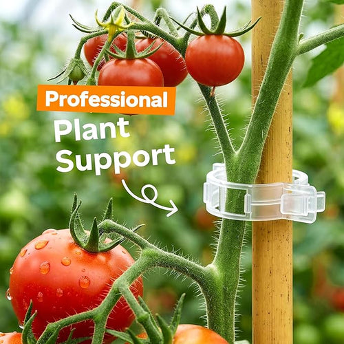100pcs Tomato Clips for Climbing plants, Plastic Trellis Plant Support Clips for Garden, Reusable Clips for Supporting Grape Tomato Vine and Vegetables Plants to Grow Upright Makes Plants Healthier