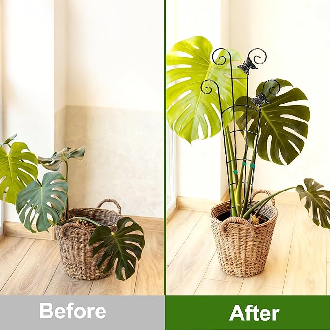 COOMIN 30'' Monstera Plant Support Outdoor, Metal Expandable Plant Supports for Indoor Plants, 2P Garden Trellis for Climbing Plants Indoor - Ivy, Pothos, Philodendron, Hoya