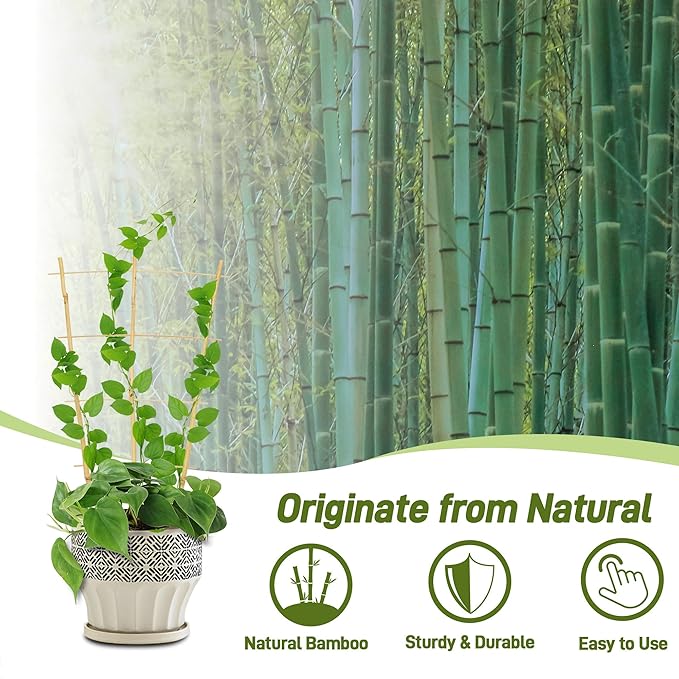 Avalution 10 Pack Bamboo Trellis for Climbing Plants, 2 FT Garden Ladder Trellis for Potted Plants Indoor, Fan-Shaped Small Plant Support Trellis for Houseplants Ivy Hoya Vine Monstera