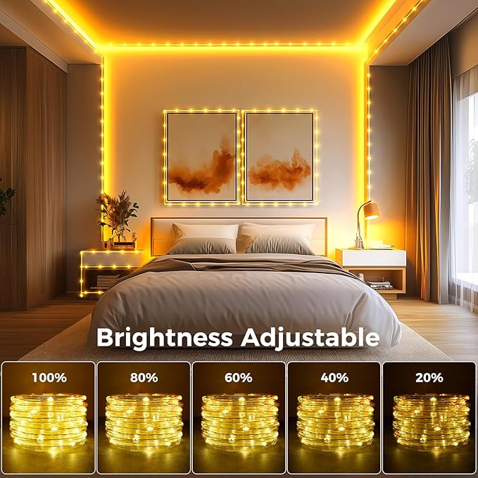 Minetom Color Changing Rope Lights Outdoor, 33FT 100 LED String Lights with Plug & Remote, Waterproof Christmas Light Outdoor Decoration, Twinkle LED Rope Light for Outside Indoor Bedroom,16 Colors