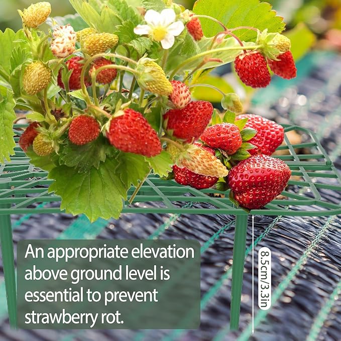6 Sets Strawberry Plant Support with Mesh Plant Cover,Strawberry Growing Racks Sets with Iron Plant Nails and Storage Bag for Garden Strawberry Vegetables(Green Net - Square)