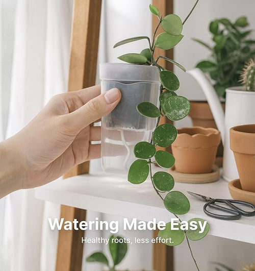 12 Pack 2.5" Small Self Watering Pots for Indoor Plants, Mini Clear Plastic Planters, Semi-Hydro, Propagation, Cuttings, Seedlings, Hoya, African Violets, Alocasia, LECA, PON,12 Plant Label