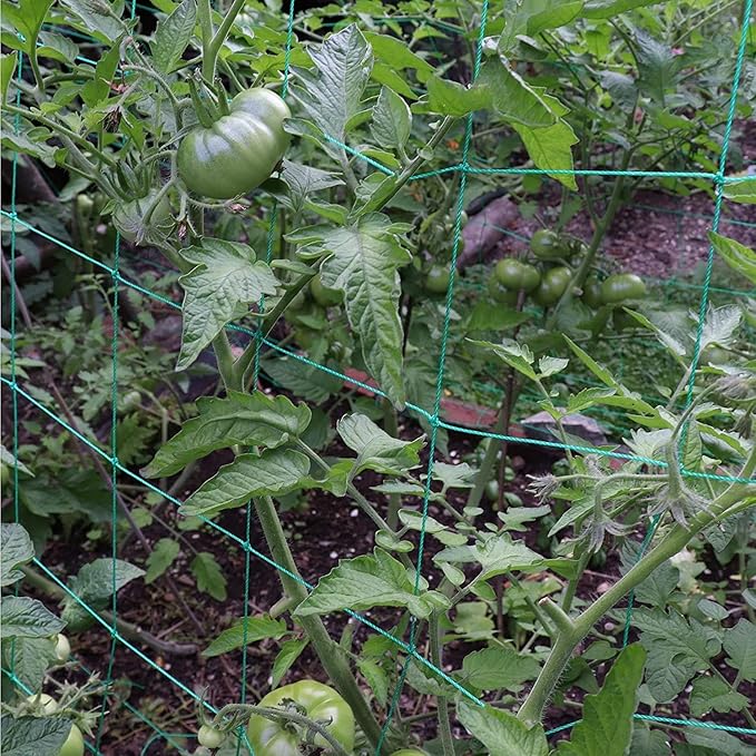 Trellis Netting for Climbing Plants - Heavy Duty Garden Trellis Netting for Cucumber, Vine, Fruits & Vegetables Tomato Plants Trellis Net, Climbing Vining Plants (2-Pack 16.4' x 6.6'Ft)