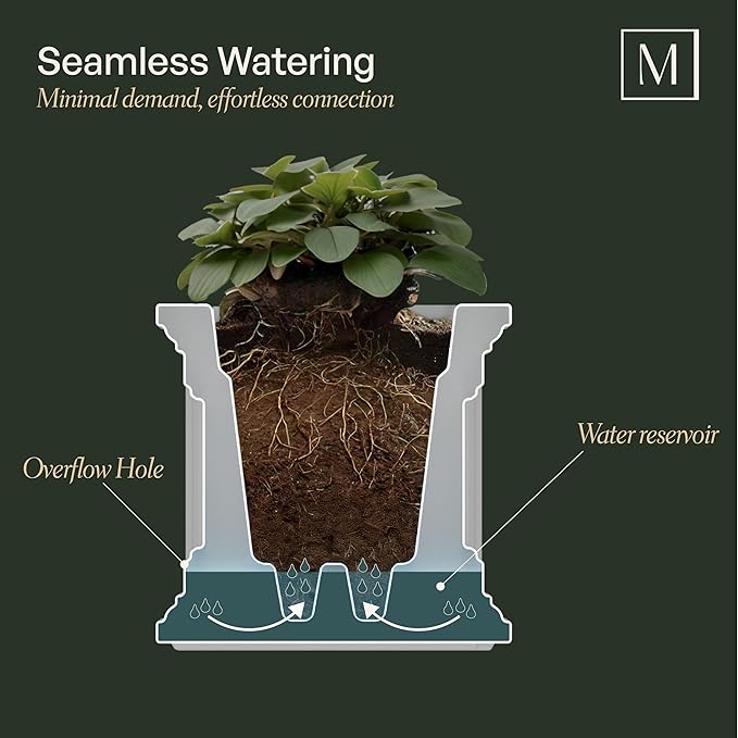 Mayne Fairfield 4-Foot Window Box – Self-Watering, Weather-Resistant Planter for Flowers – Durable Design for Outdoor Use, Perfect for Windows