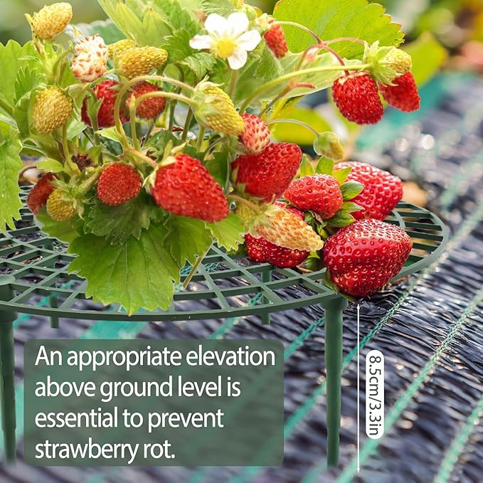 6 Sets Strawberry Plant Support with Mesh Plant Cover,Strawberry Growing Racks Sets with Iron Plant Nails and Storage Bag for Garden Strawberry Vegetables(White Net - Round)
