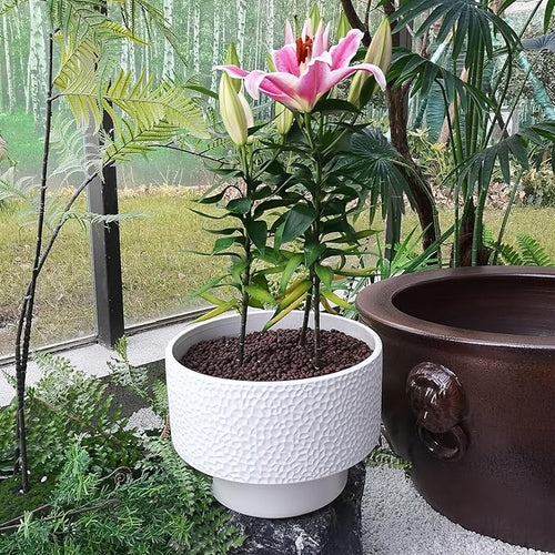 11 Inch Ceramic Plant Pots, Planter Pot with Drainage Hole, Honeycomb Ceramic Flower Pot Outdoor Indoor, Large Modern Decorative Planters for Home/Office Plants, White