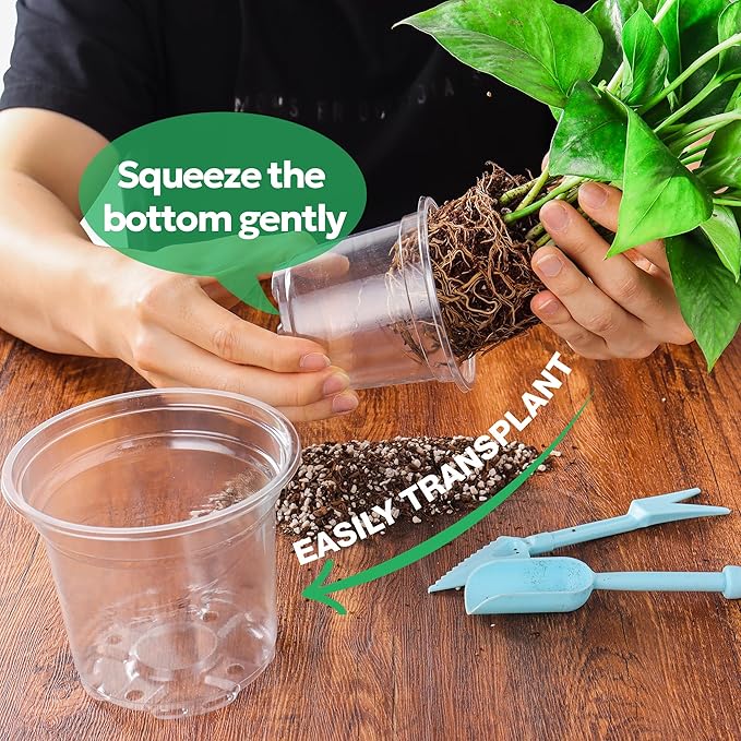 50 Packs 4 Inch Reinforced Clear Nursery Pots with Drainage Holes, Transparent Plastic Plant Pot Seedling Planter for Vegetable Propagation, Root Cutting, Seed Starting