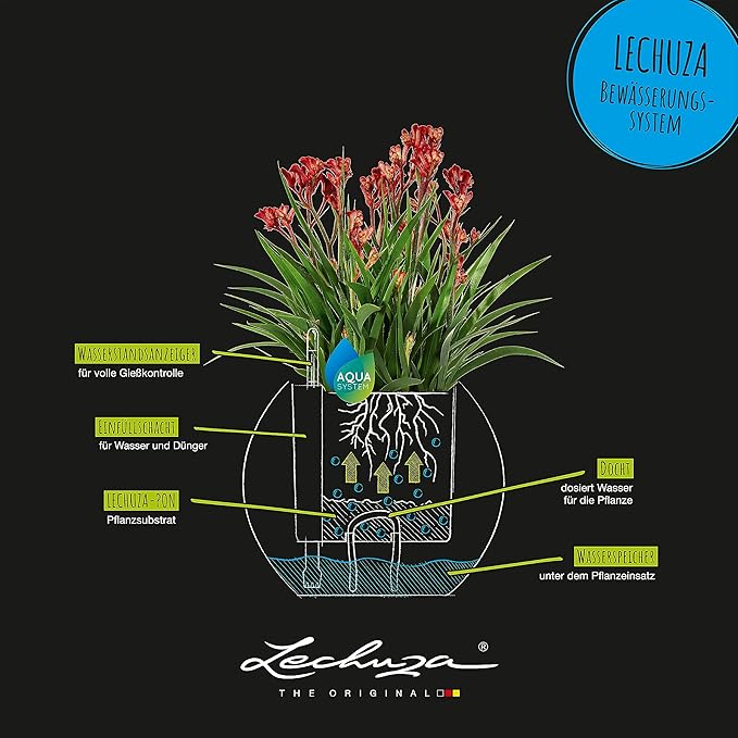 Lechuza Puro Color 20 Slate, Self-Watering Small Indoor Planter, D7.9 H6.3 in