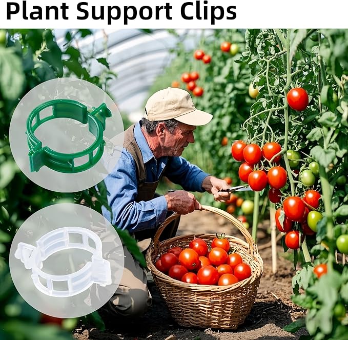 100 Pcs Plant Support Clips,Plastic Clips for Securing Plants,Tomato Vine Clips,Plant Fixing Clips,Garden Clips for Climbing Plants,Grape and Vine Vegetables (100, Green)