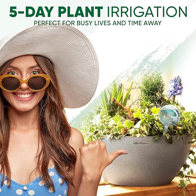 Clear Plant Watering Globes Set of 6 - Small Self Watering Globes for Indoor & Outdoor Plants - Automatic, Glass Watering Bulbs for Daily Use, Plant Watering Devices