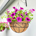 LaLaGreen Hanging Planter For Outdoor (20 Inch, 4 Pack) Extra Large Black Metal Wire Hanging Plant Planter with Coco Liner Round Garden Balcony Country Decor Flower Pot Holder Hanger Deck Porch Modern