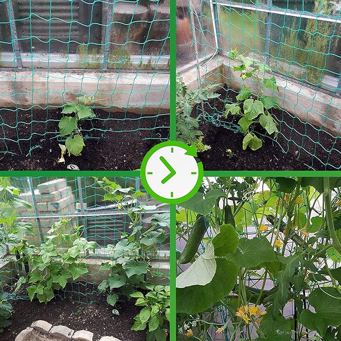 Trellis Netting for Climbing Plants - Heavy Duty Garden Trellis Netting for Cucumber, Vine, Fruits & Vegetables Tomato Plants Trellis Net, Climbing Vining Plants (1-Pack 3.3' x 6.6'Ft)