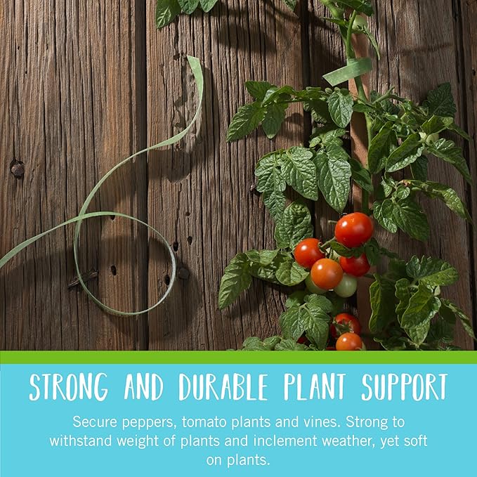 Velcro Brand VEL-30088-AMS Garden Pre-Cut 45pcs ONE-WRAP Plant Ties Suitable for Tomatoes Flowers or Vegetables in Raised Beds, 8 in X 1/2 in, Green-Recycled Plastic