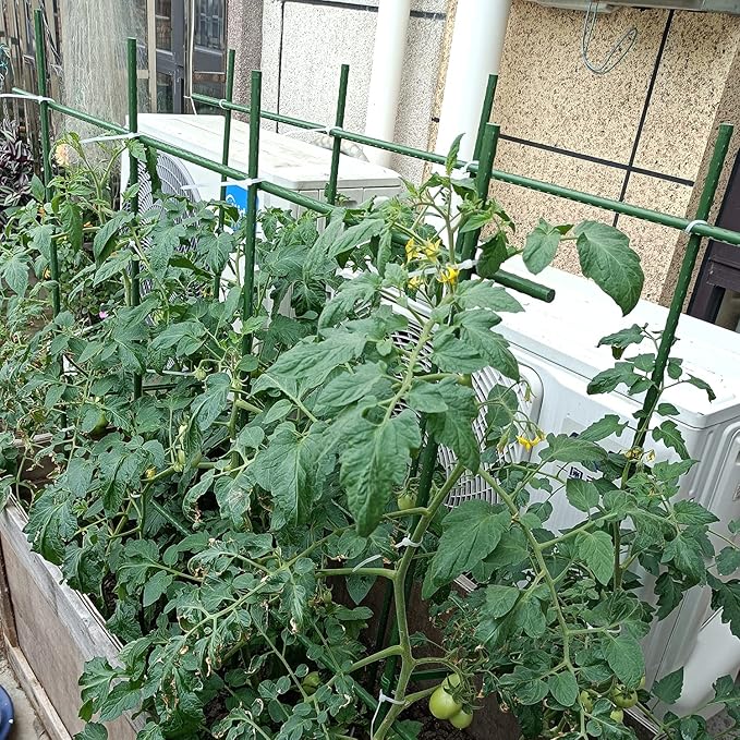 3Feet 36inch Garden Stakes Sturdy Plant Sticks Support Tomato Stakes for Vegetable,Pack of 20