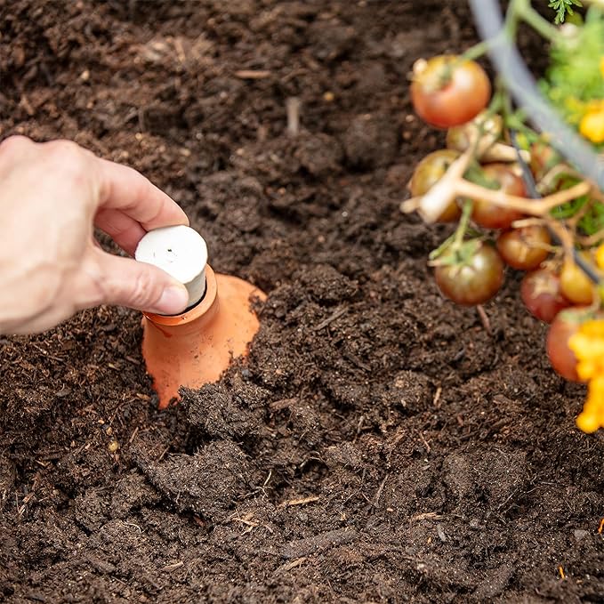 Back to the Roots Self-Watering Terracotta Olla Pot (Pack of 3), 700mL Provides 1 Week of Precision Watering